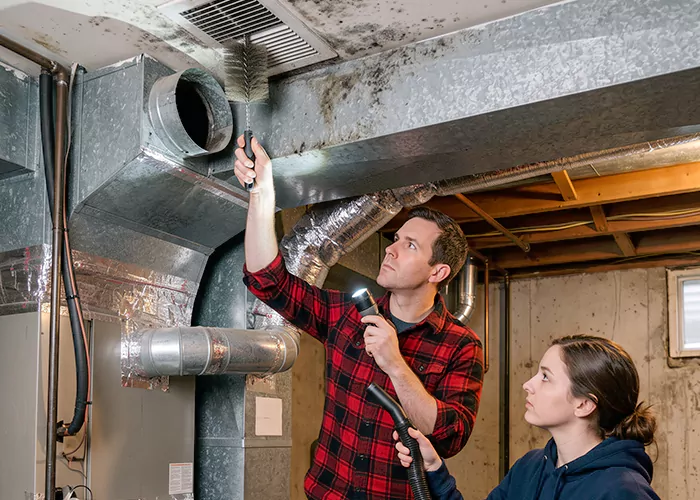 Premier HVAC Mold Remediation Company in Brick Township